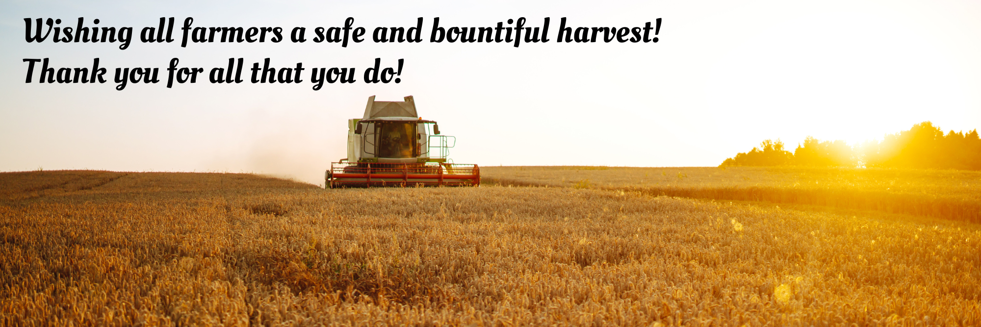 2025 Harvest